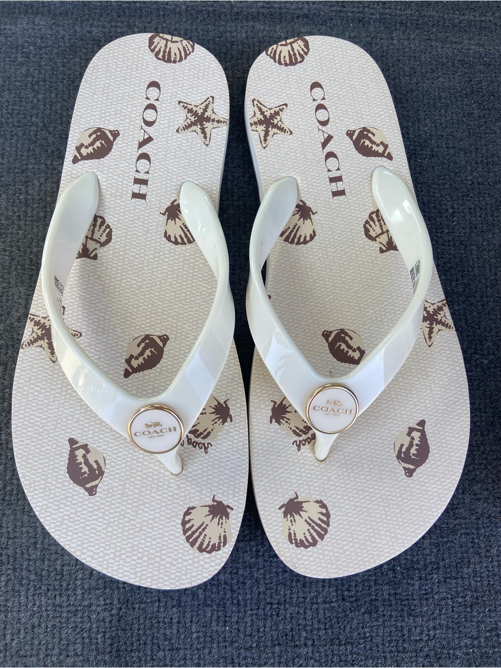 NWOT COACH White Flip Flop Sandals with Brown Shell Print Size 5B